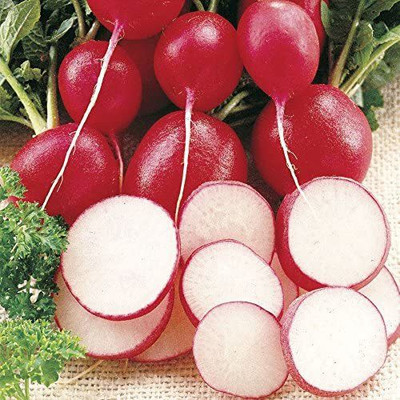 VibeX VXI-70 - Cherriette Hybrid Radish - (2250 Seeds) Seed(2250 per packet)