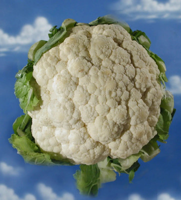 Quentova Smooth Skin Cauliflower-2A-KWI Seed(200 per packet)