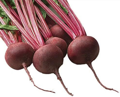Biosnyg Red Ace Hybrid Beetroot Seeds-300 Seeds/5gm Seed(300 per packet)