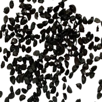 CYBEXIS Hybrid Fast Growing Onion Seeds2000 Seeds Seed(2000 per packet)