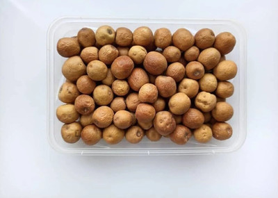 BDSresolve White sandalwood seeds for plantation/White chandan seed 5 Seed(5 per packet)