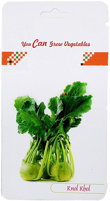 CYBEXIS Knol Khol Seeds500 Seeds Seed(500 per packet)