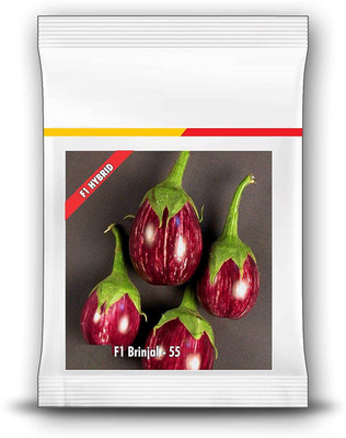 CYBEXIS NDIR-51 - Disease Resistant Brinjal - (450 Seeds) Seed(450 per packet)