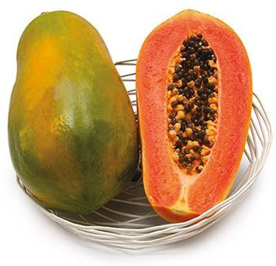 BDSresolve hybrid red lady papaya seeds Seed(20 per packet)