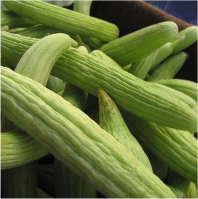 VibeX LXI-90 - Armenian Yard-Long Melon Cucumber - (450 Seeds) Seed(450 per packet)