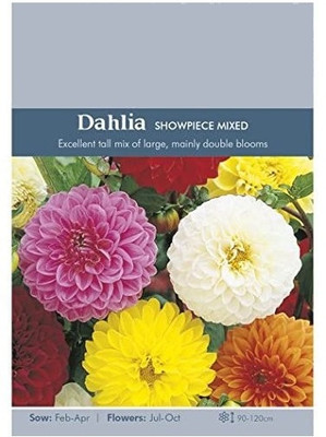 LPR DAHLIA Seed(20 per packet)