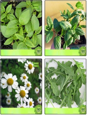 CYBEXIS Farmer Herb Seeds For Kitchen Garden Combo Seed(10 g)