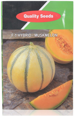 WILLVINE Muskmelon Seeds-[2500 Seeds] Seed(2500 per packet)