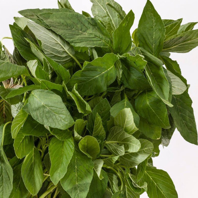 URRO Amaranth- Green Seed(500 per packet)