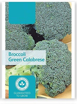 WILLVINE VXI-769 Broccoli Seed(200 per packet)