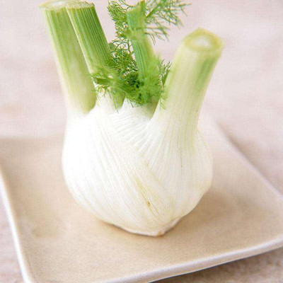 KNESSiN Bulb Fennel for 4 Season Seed(200 per packet)