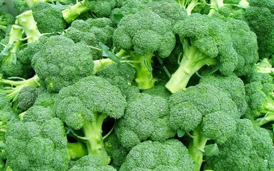 LIFELEX Broccoli Green Vegetable Seeds, Brokolee Plant Seed(48 per packet)