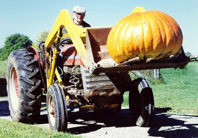 CYBEXIS Giant Pumpkin Seeds Atlantic Giant Could Grow Until 800 kg400 Seeds Seed(400 per packet)