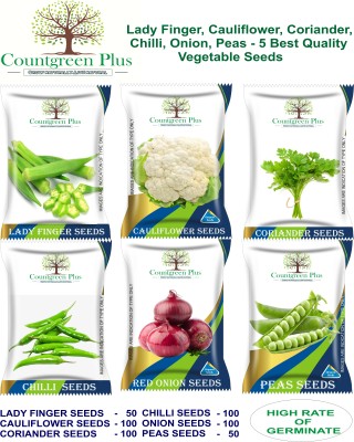 Countgreen Plus Lady Finger Cauliflower Coriander Chili Red Onion Peas, 6 Types Separate Veg Pack Seed(100 per packet)