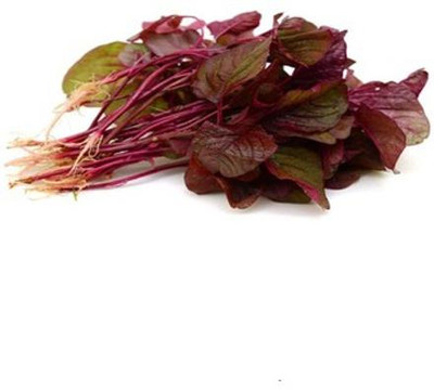 URRO Chaulai Saag Red Amaranth Seed(1000 per packet)
