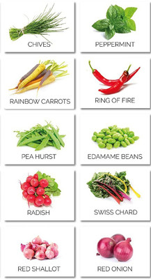 CYBEXIS Heirloom Seed Varieties Included in This Seed(10 g)