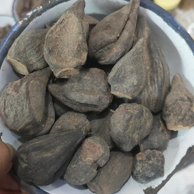 NaturePlanet SALAB GATTA - SALAM GATTA - SAALAM GUTTA - SAALAB GATTA - ORCHID ROOT Seed(100 g)
