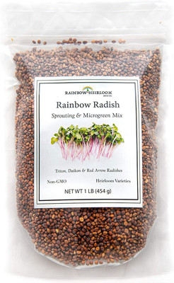 CYBEXIS NDIR-68 - Rainbow Radish Sprouting Mix - (250 Seeds) Seed(250 per packet)