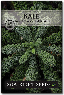 WILLVINE SCI -X Dwarf Blue Curled Scotch Kale Seed [1g] Seed(300 per packet)
