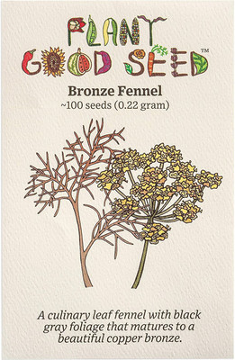 CYBEXIS XLL-86 - Bronze Fennel - (750 Seeds) Seed(750 per packet)