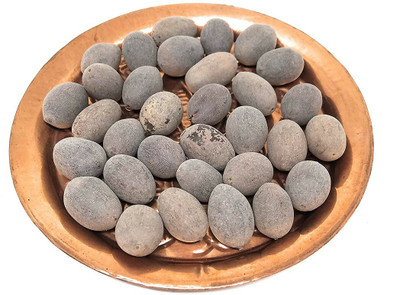 VNR VNR Lotus Flower Hybrid Quality Seed(10 per packet)