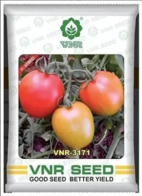 Cloud Farm vnr 3171 tomato seeds Seed Seed(50 per packet)