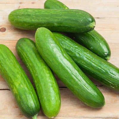 MOTREX Cucumber Seeds - Non-GMO - Produces Large Numbers of flavorful Seed(150 per packet)