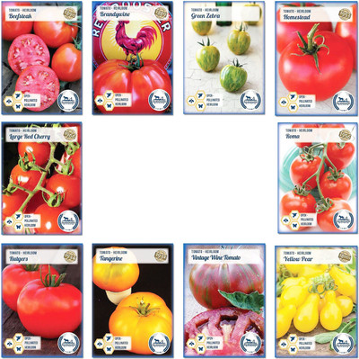 CYBEXIS 10 Varieties Non-GMO Heirloom Tomato Seed Seed(10 g)