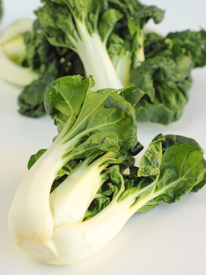 WILLVINE PAU -I Bok Choy Seeds Chinese Cabbage [10g] Seed(3000 per packet)