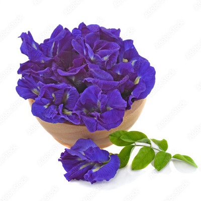 SeeGreen Aparajita Double Mixed Seeds All Color, Butterfly Pea Seeds, Clitoria Ternatea Seed(15 per packet)