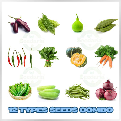 KrishnaNursery 12 Types of Vegetables seeds COMBO pack, for home garden mix vegetables Seed(40 per packet)