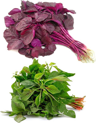 Aywal Amarnathus Red Cholai & Green Cholai, Seed(120 per packet)