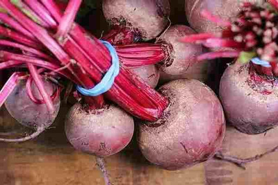LPR CHUKANDAR,,BEETROOT Seed(300 per packet)