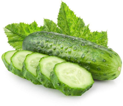 WILLVINE Open Pollinated Cucumber Green Seeds-[2000 Seeds] Seed(2000 per packet)