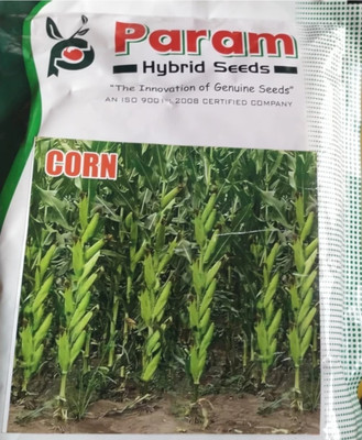 HYBRID 1kg corn/maize/ makka seeds highest yield variety long bhutta Seed(1 per packet)
