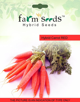 CRGO CARROT , GAJAR Seed(75 per packet)