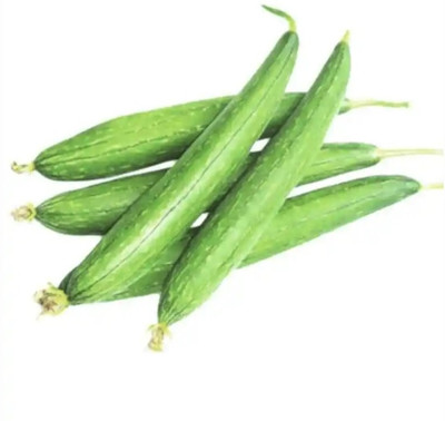 UGRA Sponge Gourd (Tori) Ram Turai Seed(60 per packet)