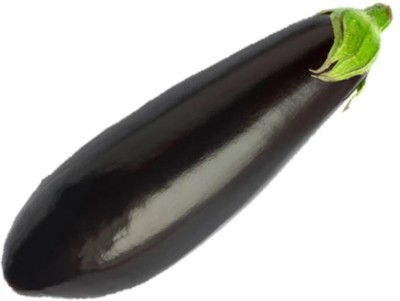 UGRA Brinjal Seed(500 per packet)