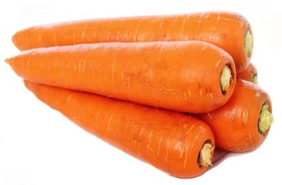 ZIFR Orange Carrot Vegetable Seed(300 per packet)