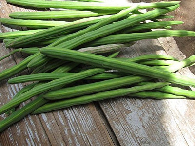 SUAA Moringa (Drumstick) Seed(15 per packet)