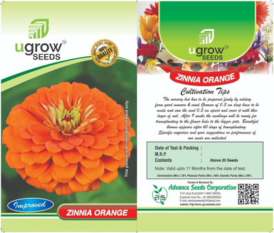 fixeded FL-141-ORANGE-ZINNIA Seed(40 per packet)
