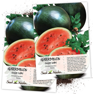 CYBEXIS XLL-1 - Sugar Baby Watermelon (Citrullus lanatus) - (1350 Seeds) Seed(1350 per packet)