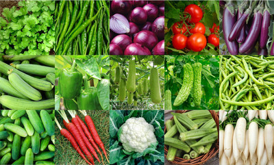 Agnico Agnico 15 Variety Of Vegetable Seeds Combo Pack With Instruction Manual.… Seed(15 per packet)