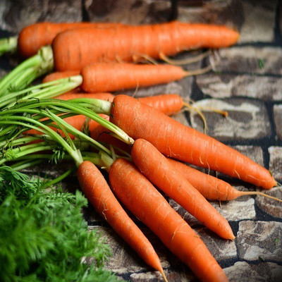 Quentova नारंगी गाजर Orange Carrot-11X-CTU Seed(300 per packet)