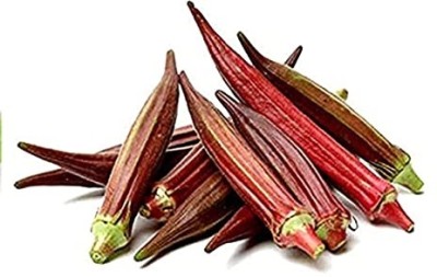 Qualtivate HYB-5A OKRA SCARLET RED/ LAAL BHINDI Seed(350 per packet)