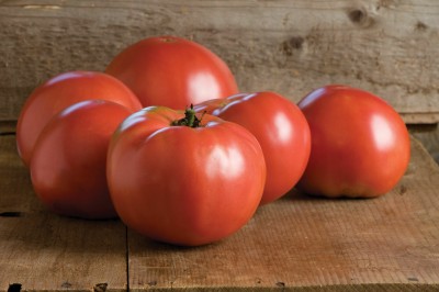 VRAKSHA Organic Tomato टमाटर Seed(2000 per packet)