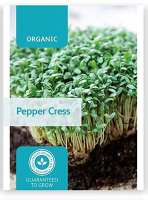 CYBEXIS Pepper Cress2400 Seeds Seed(2400 per packet)