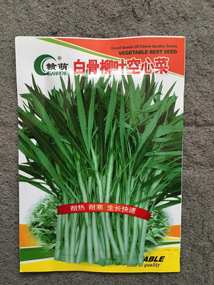 CYBEXIS Pak-Boong Morning Glory Water Spinach Seeds1000 Seeds Seed(1000 per packet)