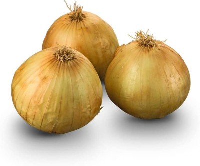 CYBEXIS HUA-14 - Texas Early Grano Onions - (1500 Seeds) Seed(1500 per packet)