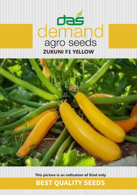 KRASHAK Zucchini, Zukini Seed(2 per packet)